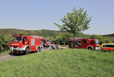 Äste und Grünschnitt entzünden sich: Mann bei Brand in Lichtenstein wird schwer verletzt - An der Hartensteiner Straße kam es zu einem Brand. Foto: Andreas Kretschel