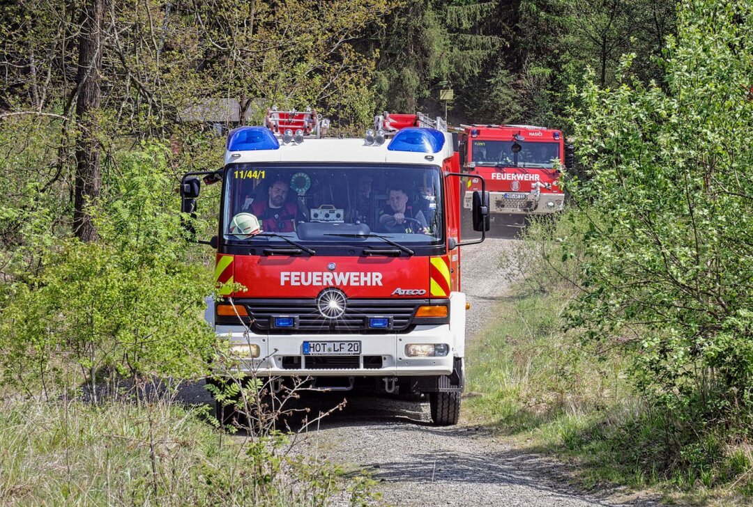Brandstiftung in Chemnitz: Unbekannte setzen Bäume in Flammen - Die Feuerwehr konnte das Feuer rechtzeitig löschen. Foto: Andreas Kretschel
