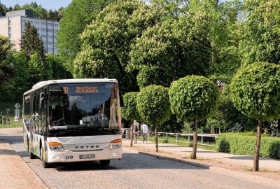 So geht's mit dem ÖPNV zum Rhododendronfest nach Bad Elster - Achtung Bahnreisende! Aufgrund einer Baumaßnahme verkehrt ab Adorf bis Bad Brambach ein Schienenersatzverkehr. Fotos: Karsten Repert