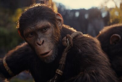 Affen beherrschen jetzt die Welt: Das sind die Kino-Hiighlights der Woche - Noa findet es nicht richtig, wie die Affen mit den Menschen umgehen.