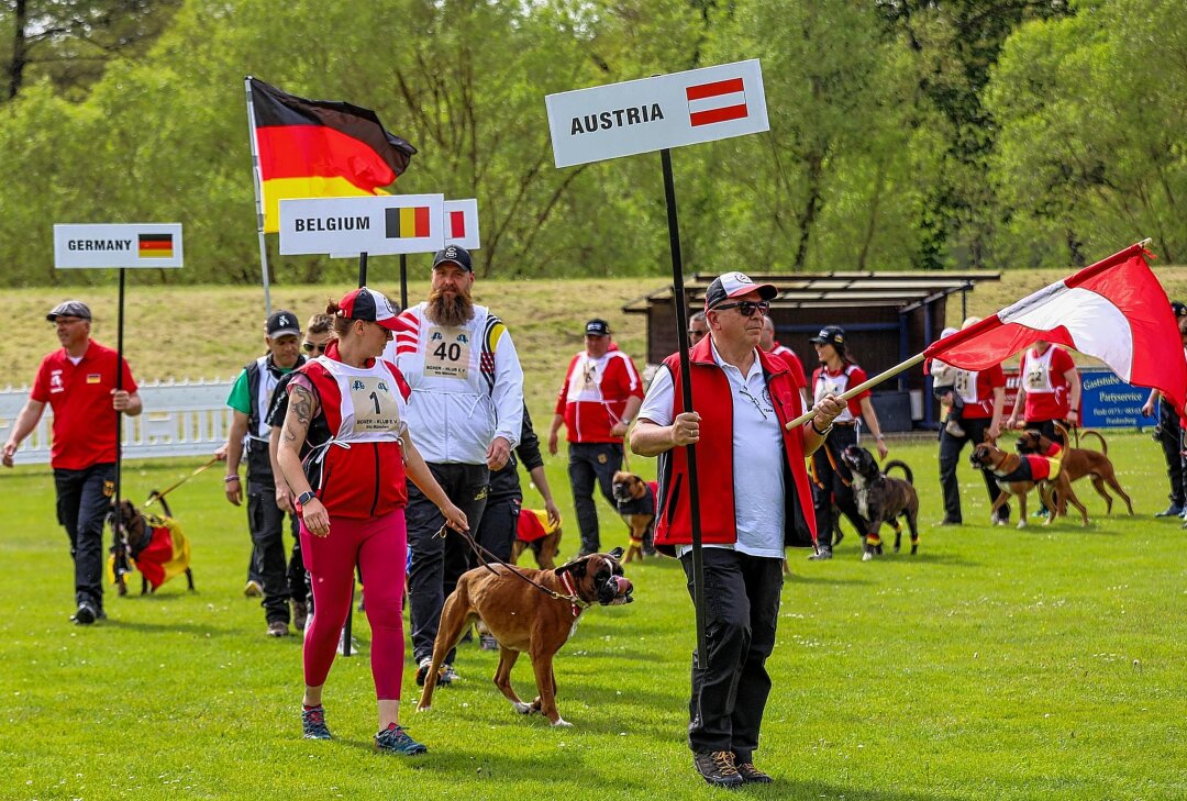 Auf den Hund gekommen: Boxer-WM in der Zschopauaue begeistert Züchter und Gäste - Zehn Nationen traten zur WUBOX in Sachsenburg an. Foto: Erik Hoffmann