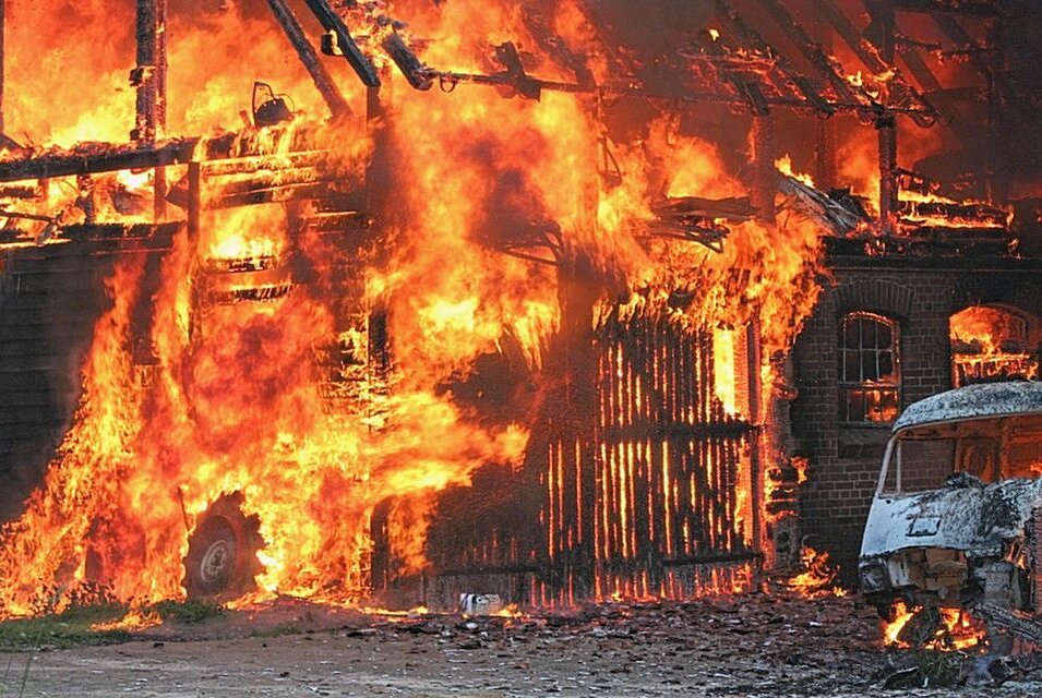 Brand in einer Mehrzweckhalle - mehrere Tiere starben - Symbolfoto: Pixabay