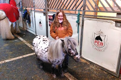 Cavalluna: Wie ein kleines Mädchen in Chemnitz ihren großen Pferdetraum erfüllt bekam - Für die 9-jährige Helene ging ein großer Traum in Erfüllung als sie am Wochenende die Pferdeshow Cavalluna besuchen durfte.