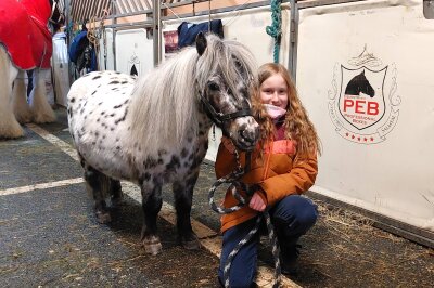 Cavalluna: Wie ein kleines Mädchen in Chemnitz ihren großen Pferdetraum erfüllt bekam - Helene und ihre Familie haben sogar eine exklusive Stallführung bekommen.