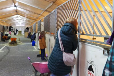 Cavalluna: Wie ein kleines Mädchen in Chemnitz ihren großen Pferdetraum erfüllt bekam - Helene und Mama Yvonne bei der Cavalluna Stallführung.