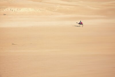 Die Vielfalt des Roten Meers entdecken: Sonniger Urlaub im ägyptischen Hurghada - Hurghada und seine Umgebung lädt zu einem abwechslungsreichen Sommerurlaub ein. Symbolbild: Pixabay