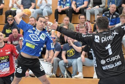 EHV Aue bringt zwei Punkte aus Braunschweig mit - Der EHV Aue - am Ball Elias Gansau - hat auswärts in Brauchschweig gewonnen. Foto: Ralf Wendland