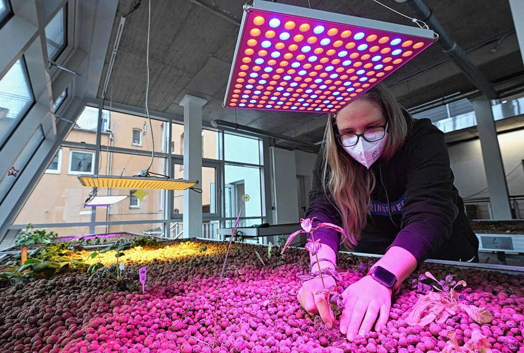 Einblick in die Lebensmittelproduktion der Zukunft - Isabel Scheuerl im Gewächshaus, welches sich über mehrere Etagen streckt. Foto: Andreas Seidel