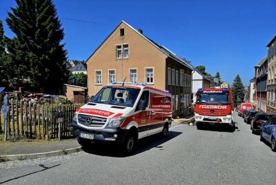 Erneute Tierrettung in Annaberg-Buchholz: Feuerwehr rettet Hund aus Grube - Die Feuerwehr musste erneut einen Hund retten. Bildrechte: Bernd März