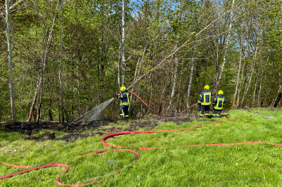 Feuer in Pöhla: Einsatzkräfte bringen Waldbrand unter Kontrolle - Etwa 500 Quadratmeter Waldfläche brannten in Pöhla. Foto: Daniel Unger