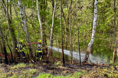 Feuer in Pöhla: Einsatzkräfte bringen Waldbrand unter Kontrolle - Die Polizei ermittelt wegen versuchter Brandstiftung. Foto: Daniel Unger