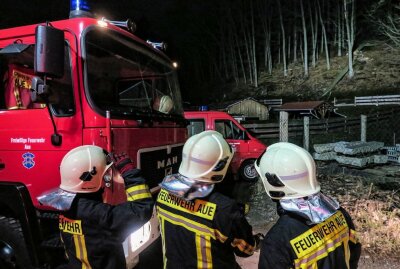 Feuerwehr verhindert Unglück in Aue: Baum war in Schieflage - Die Kameraden am Einsatzort. Foto: Niko Mutschmann