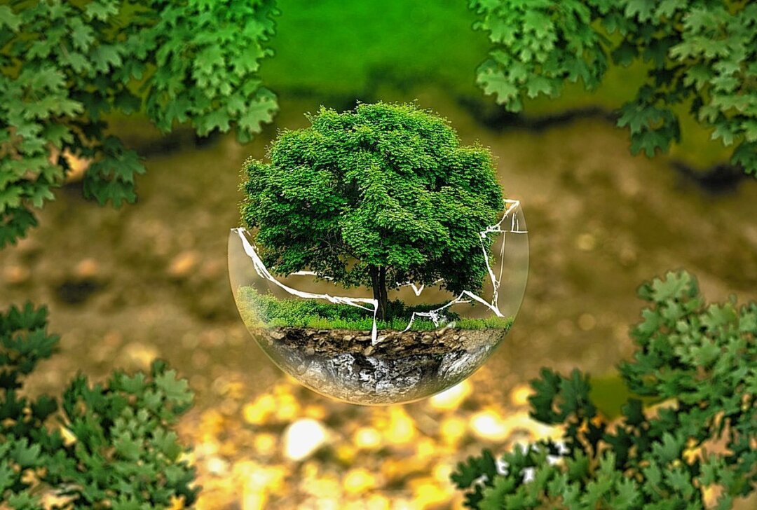 Geldinstitut fördert Naturschutzprojekte mit 20.000 Euro - Die Sparkasse spendet für die Umwelt. Foto: pixabay
