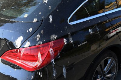Glänzend sauber: So waschen Sie das Auto wie ein Profi - Vogelkot kann den Lack bis in die Tiefe schädigen und sollte schnellstmöglich entfernt werden.