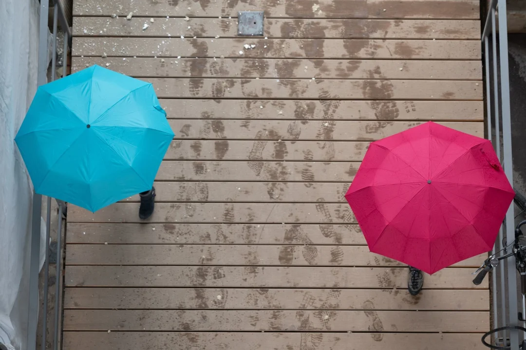 Grauer Dienstag in Sachsen erwartet - Passanten gehen unter Regenschirmen spazieren.