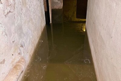 Keller in Aue steht regelmäßig unter Wasser: Rechtsstreit seit 2007 - Die Überschwemmung reicht mehrere Stufen hoch. Foto: Daniel Unger