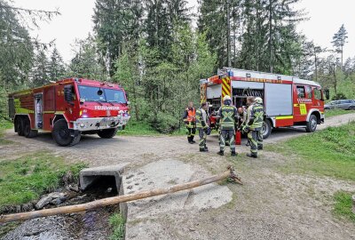 Kleines Lagerfeuer gerät außer Kontrolle: Feuerwehr verhindert größeren Brand - Die Feuerwehr konnte das Feuer rechtzeitig löschen. Foto: Andreas Kretschel