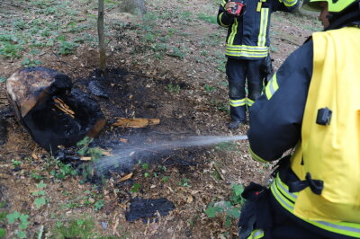 Mutmaßliche Brandstiftung im Wald: Feuerwehr verhindert Waldbrand - Feuerwehr im Einsatz. Foto: Niko Mutschmann