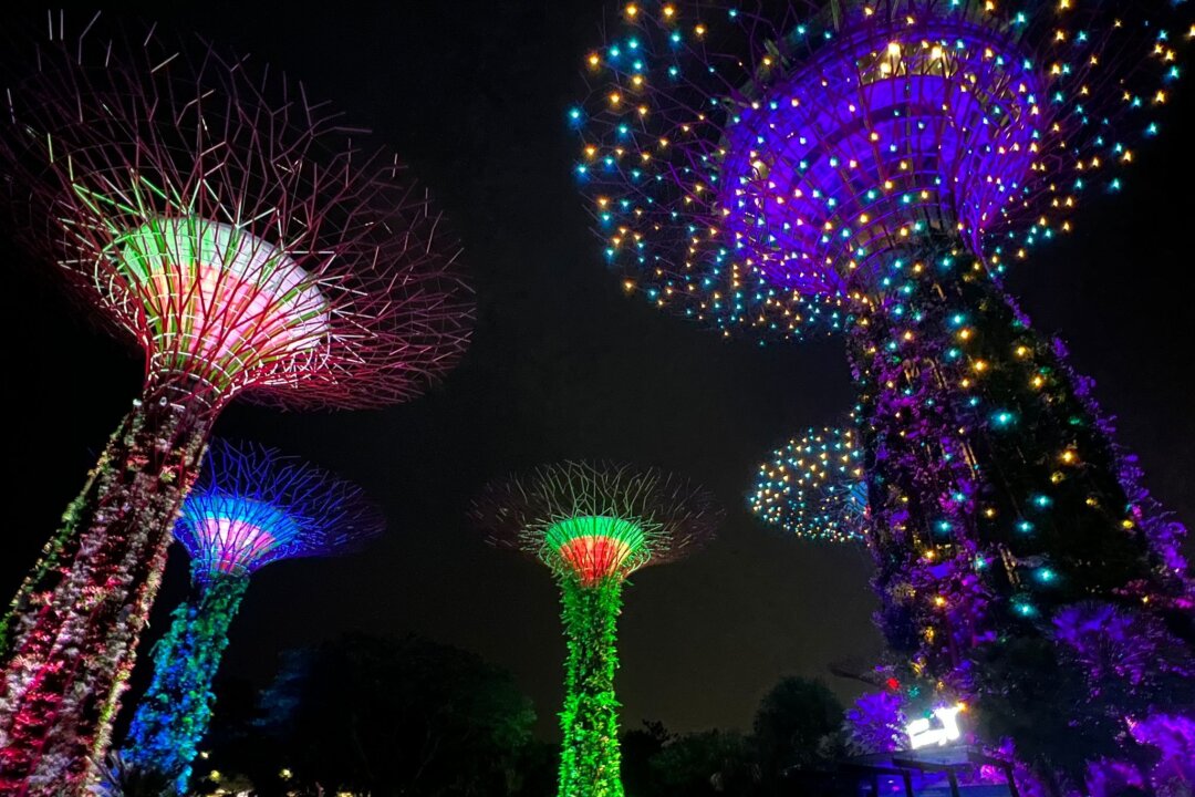Neue Attraktion: Polarlichter in Singapur - Die Supertrees in den Gardens by the Bay während der abendlichen Lichtshow.