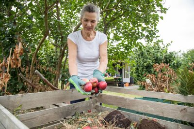 So starten Gärtner entspannt in den Frühling - Grüner Daumen für eine grüne Zukunft - Die Anlage eines eigenen Komposts im Garten fördert eine nachhaltige Bodenpflege und Ressourcenschonung.