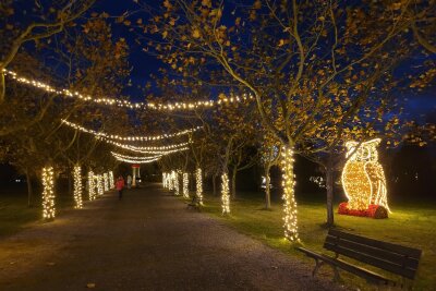 Seit dem 17. November hat der Sonnenlandpark seine Türen für Besucher erstmalig auch in der Wintersaison geöffnet. Die neuen Attraktionen sind in 50-facher Ausführung: Lichterfiguren.