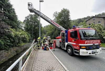 Tierrettung in Annaberg-Buchholz: Feuerwehr rettet hilflosen Hund - Kameraden zogen Hund und Kameradin nach oben. Bildrechte: Bernd März