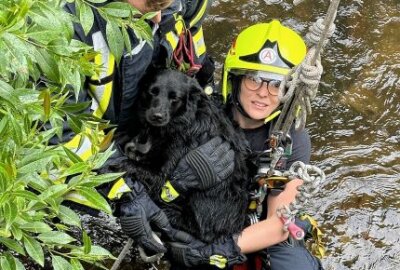 Tierrettung in Annaberg-Buchholz: Feuerwehr rettet hilflosen Hund - Kameraden zogen Hund und Kameradin Aline Püschel nach oben. Bildrechte: Bernd März