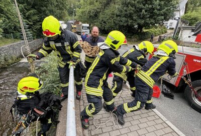 Tierrettung in Annaberg-Buchholz: Feuerwehr rettet hilflosen Hund - Kameraden zogen Hund und Kameradin nach oben. Bildrechte: Bernd März