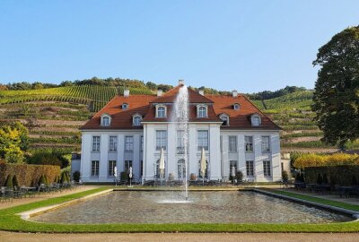 Top 10 Ausflugstipps in Dresden und Umgebung - Das berühmte Weingut Schloss Wackerbarth in Radebeul bietet Führungen, Events und Verkostungen an. Außerdem ist die Aussicht sehr schön. Foto: Pixabay/NGSOFT