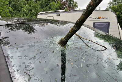 Umgestürzter Baum beschädigt Fahrzeuge von Projektzirkus - Ein umgestürzter Baum beschädigte die Fahrzeuge von einem Projektzirkus. Foto: Mike Müller
