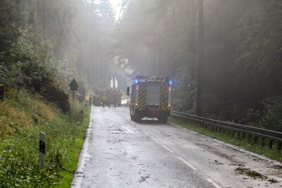 Außerdem sind mehrere Bäume umgefallen, deshalb hat die Feuerwehr vorsichtshalber Bäume entfernt. Foto: Niko Mutschmann