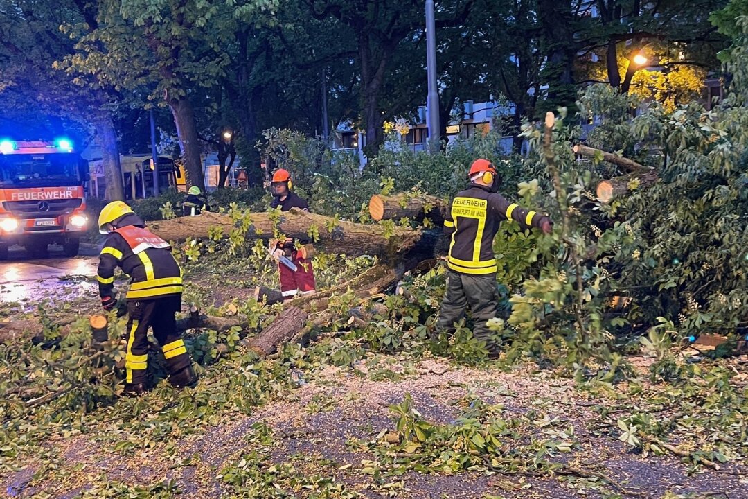 Unwetter in der Nacht: Passanten verletzt, Züge verspätet - Ein Unwetter ist über Deutschland hinweggefegt; es gibt Verletzte und Schäden.
