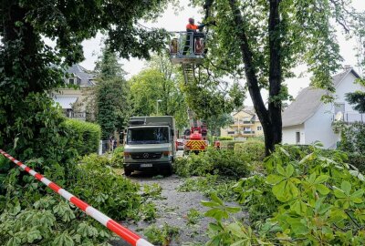 Unwetter in Dresden sorgt für enorme Schäden - Am Mittwoch sorgte ein lokales Unwetter für einige Schäden. Foto: Rohland Halkasch