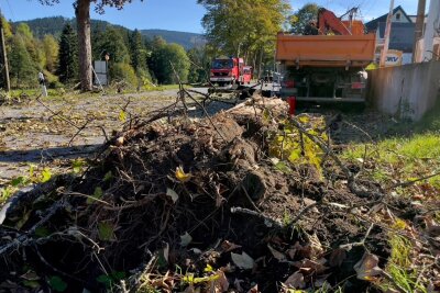 Update: Crash in Rittersgrün -  Zeugen und Ersthelfer gesucht - Ein LKW riss einen Baum mit sich.