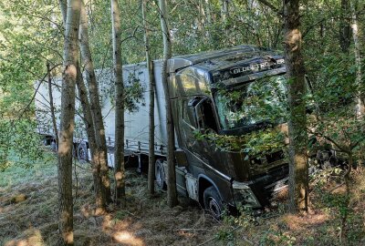 Vollsperrung nach Unfall auf der A4: LKW sorgt für Baumfällung - Verkehrsunfall auf A4. Foto:Roland Halkasch