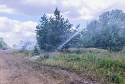 Waldbrandhölle in Sachsen: Wie sich ein Kreisbrandmeister während der Arbeit fühlt - In der Gohrischheide zwischen Riesa und Elsterwerda brennt es seit 3 Tagen auf einer Fläche von 150 Hektar. Foto: ArcheoPix