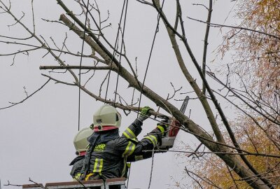 Warnung vor Orkanböen: Feuerwehr im Einsatz wegen Baum in Stromleitung - Feuerwehreinsatz in Markersbach. Foto: Bernd März