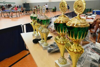 Zschopauer Tischtennisturnier bringt Überraschung mit sich - Um diese Pokale wurde in der Nexö-Turnhalle gespielt. Foto: Andreas Bauer