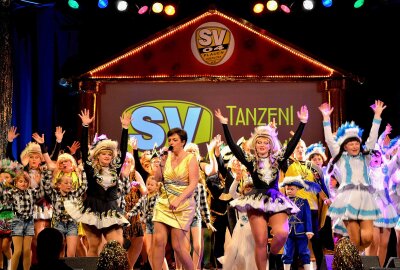 1. Plauener Bockbierfasching steigt am 11.11. in Biller-Halle - Hervorgegangen ist die SV04-Tanzabteilung aus dem 1987 gegründeten Handwerker Carneval Club. Foto: Karsten Repert (Archiv)