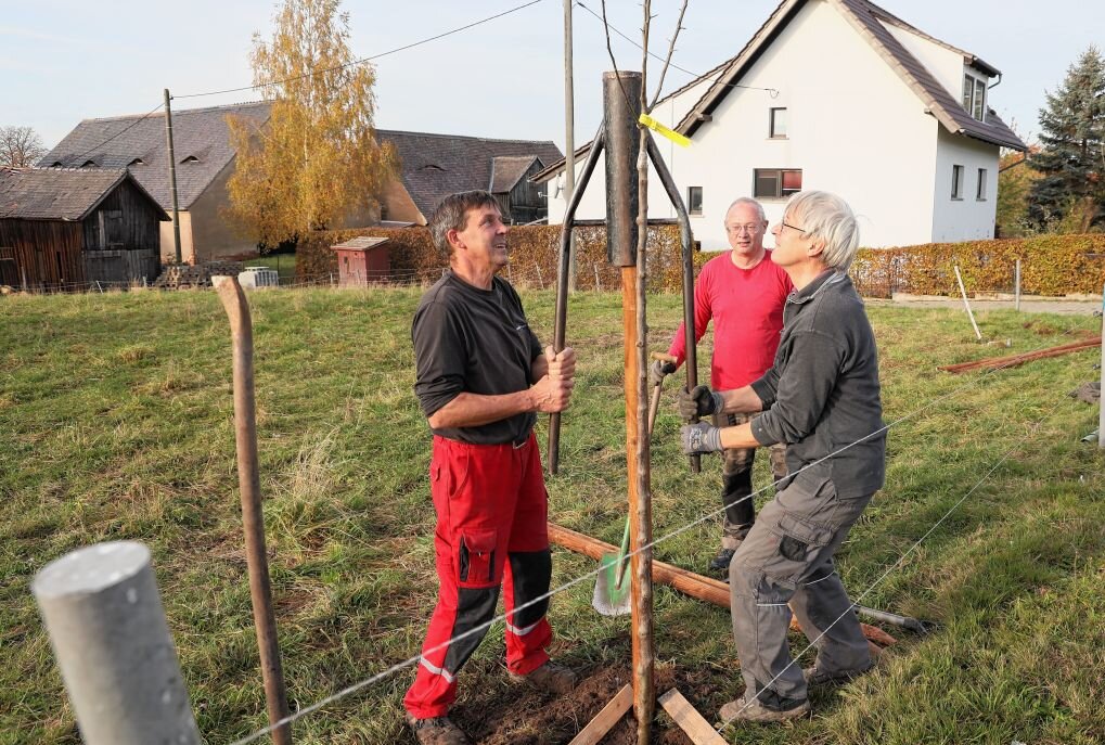 10 Obstbäume für das Gemeinwohl in Obergräfenhain - Jochen Liebing, André Cajar und Gerald Pett (v.l.) beim Pflanzen der Obstbäume. Fotos: Andrea Funke