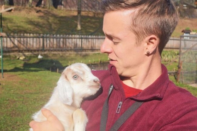10 süße Tierbabys aus der Region - Im Tiergehege in Glauchau freute man sich im vergangenen Jahr über Nachwuchs bei den Ziegen.