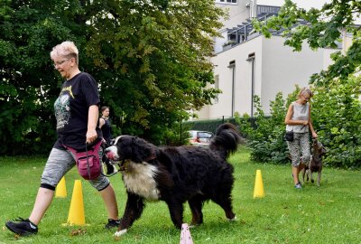100 Jahre Hundesportverein Rabenstein - Sandra Paul gehört mit Hündin Ennie zu den Mitgliedern des Hundesportvereins Rabenstein, der am 2. September sein 100-jähriges Jubiläum feiert. Foto: Steffi Hofmann