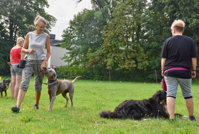 100 Jahre Hundesportverein Rabenstein - Sandra Paul gehört mit Hündin Ennie zu den Mitgliedern des Hundesportvereins Rabenstein, der am 2. September sein 100-jähriges Jubiläum feiert. Foto: Steffi Hofmann