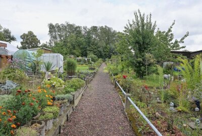 111 Jahre Gartenanlage "An der Schule" in Lugau - Neugierige können heute auch einen Blick auf die Gartenanlage werden - die Gänge stehen offen. Foto: Ralf Wendland