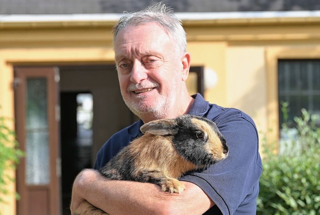 20. Kreisjungtierschau mit 182 Tieren - Dietmar Lorenz züchtet seit 1966 - hier mit einem seiner Japaner-Kaninchen. Foto: Ralf Wendland