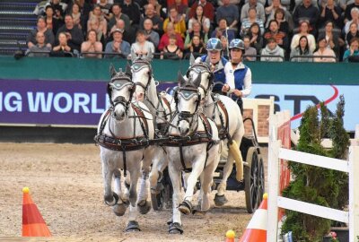 25. "Partner Pferd" in Leipzig lockt mit vielen Neuheiten - Die 25. "Partner Pferd" beginn. Foto: Maik Bohn