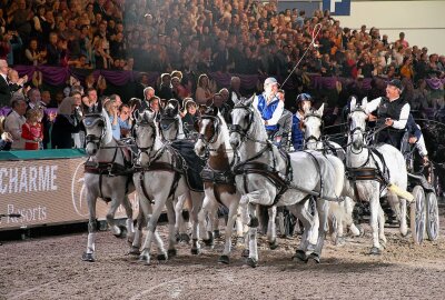 26. "Partner Pferd" in Leipzig startet am Donnerstag - Finalrunde der Vierspänner. Foto: Maik Bohn/Archiv