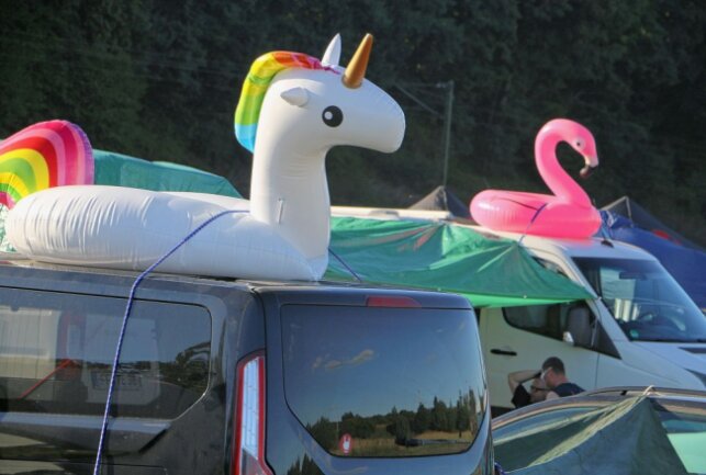 Einhorn und Flamingo reisten auf den Autodächern mit an. Foto: Simone Zeh