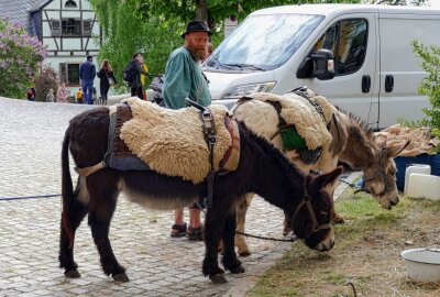 30. Wolkensteiner Burgfest lockt Tausende Gäste an - Kinder konnten auf Eseln reiten. Foto: Andreas Bauer