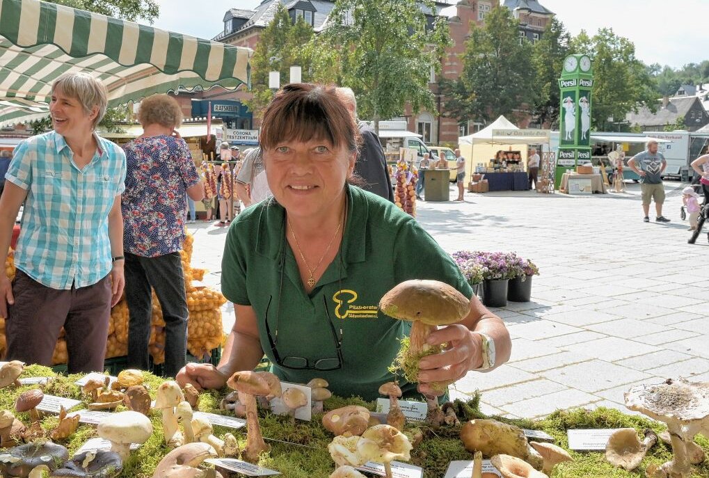 Zum Bauernmarkt gehören Pilze mit dazu - im Bild die ehrenamtliche Pilzberater Angelika Tauscher aus Neuwürschnitz im letzten Jahr. Foto: Ralf Wendland